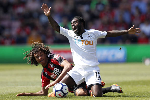 明星球员展 明星球员展