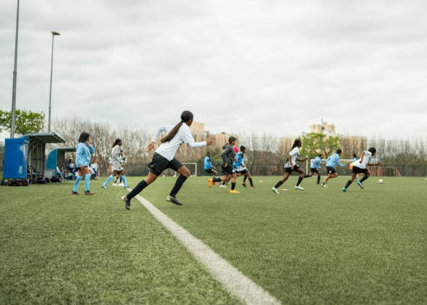 体和球迷的 体和球迷的